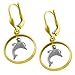 14 Karat Two-tone Gold Dolphin/ Ring Leverback title=