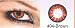 Non Prescription Color Contact Extra Ordinary - Brown
