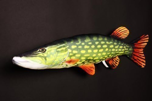 Novelty Fish Pillow/Cushion**5 Species** Carp, Brown Trout, Perch, Pike and Atlantic Salmon**Fishing Present Xmas Fishing Present Toy (Pike) by Gaby