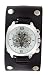 Nemesis Dragon Case with Skull Cuff Watch