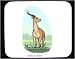 Decorated Mouse Pad with africa, kobus, deer, lechwe, antelope, horns