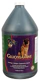 Picture Of Glucosamine Concentrate – Gallon Picture Of Glucosamine Concentrate – Gallon