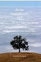 Divine Metaphysics 101...The Short Course...Illustrated: The Care
& Feeding Of The Natural High