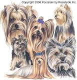 Gallery Collection Dog Breed Treat Jar - Yorkshire Terrier