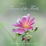 2013 Flowers of the Fields Calendar
