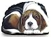 beagle24 - Fiddlers Elbow Beagle Pupper Weight