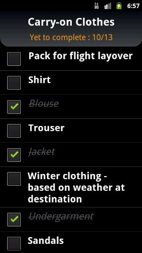 Image #3 of Flight Trip Checklist