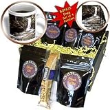 Sandy Mertens Colorado - Chasm Falls Rocky Mountain National Park - Coffee Gift Baskets - Coffee Gift Basket