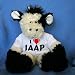 Plush Stuffed Cow (Lazy Daisy) toy with I Love Iaap t-shirt