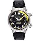 IWC Aquatimer Automatic 2000 Titanium Black Mens Watch IW353804
