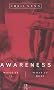 Awareness: What It Is, What It Does