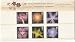 Royal Mail 2004 The Royal Horticultural Society Stamp Presentation Pack. Royal Mail 2004 The Royal Horticultural Society Stamp Presentation Pack.