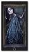 Framed by Angelina Wrona 17.25x32 Art Print Poster