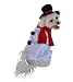 Anit Accessories Snowman Dog Costume, 20-Inch