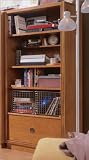 Young America by Stanley Teen Bungalow Bookcase