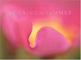 Looking for the Summer: A 94-Day Journey