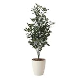 観葉植物 造花 「オリーブ 130cm」 光触媒(空気清浄) インテリアグリーン 鉢植え