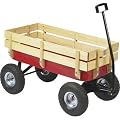 Wagon with Removable Seat and Seatbelt
