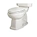 American Standard 3177.016.020 Townsend Champion-4 Right Height Elongated Seatless Toilet Bowl with Bolt Caps, White