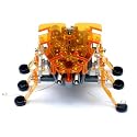 Orange Hexbug - Alpha