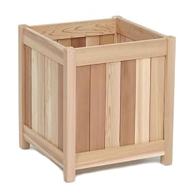 All Things Cedar PL20-Set 20 Planter Box with Trellis