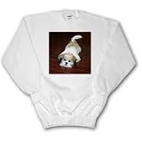 Dogs Lhasa Apsos - Lhasa Apsos - Sweatshirts