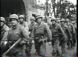 Siegfried Line & 42nd Rainbow Division
