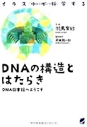 DNAの構造とはたらき ―DNA図書館へようこそ