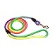 Coolrunner Pet Dog Whisperer Cesar Slip Training Leash Lead Collar (Rainbow)