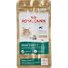 maine_coon5maine coon - Royal Canin Feline Breed Nutrition Maine Coon 31