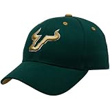 NCAA Top of the World South Florida Bulls Youth Green One-Fit Hat