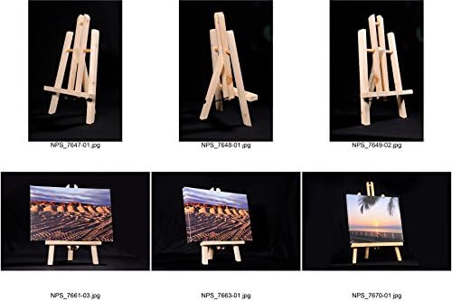 New Canvas Champ' Lightweight & Portable Easel (12
