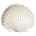 Fancy That White Shell Napkin Holder