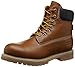 Levis Men's Harrison LE Boot