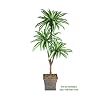 Three 6 Triple Head Artificial Trees