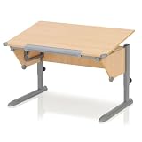 Kettler 06622-272 Schreibtisch Cool Top silber / buche