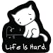 Evilkid - Sad Kitty Life Is Hard - Sticker / Decal