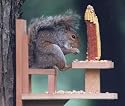 Duncraft Squirrel Chair Feeder