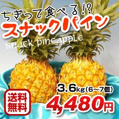 激安特価【送料無料＆24%OFF】スナックパイン3.6ｋｇセット(6～7玉)出荷開始