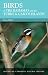 Birds of the Bahamas and the Turks and Caicos Islands (Caribbean Pocket Natural History)