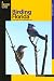 41Bk2ElbfiL. SL75  Bird Watching Holidays in India best all through the year