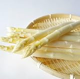 北海道 富良野産 朝採り ホワイト アスパラ 2L 約1? (20?28本) 北海道 富良野産 朝採り ホワイト アスパラ 2L 約1? (20?28本)