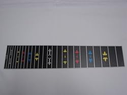 12 string Mullen Pedal Steel Guitar fretboard