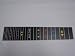 12 string Mullen Pedal Steel Guitar fretboard
