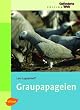 Graupapageien