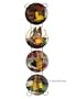 Set 4 Wine Kitchen Decor Handpainted Plates & Iron Rack