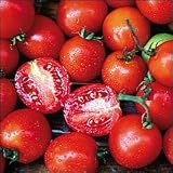 SiberianTomato 25 Seeds - Early - Good Strong Flavor