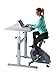 LifeSpan C3-DT5 Desktop Bike