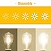 Leadleds FLA8TD LED Bulb Dimmable Healthy Edison Light with Medium Screw E26 Base, ST19 8 Watt 80 Watt Incandescent Bulb Replacement 2700K Neat Warm White