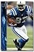 Indianapolis Colts Reggie Wayne Nfl 22 5X34 Poster 4572